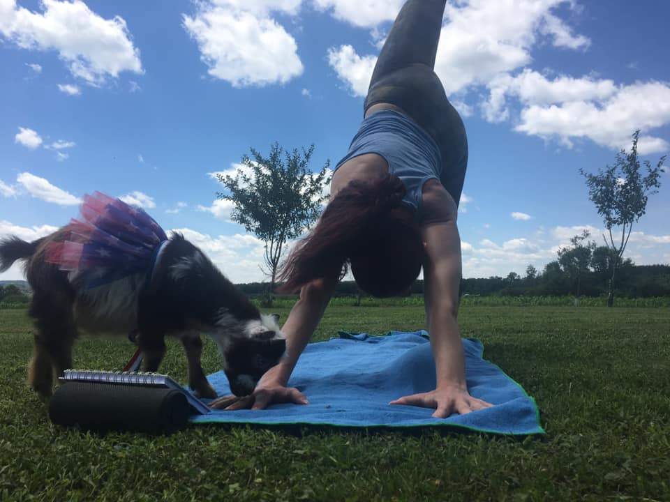goat yoga classes in Falls Creek Pennsylvania