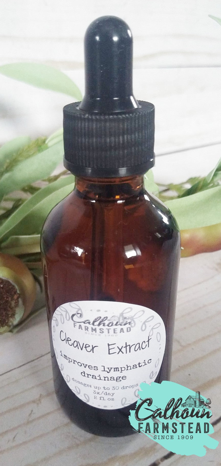 Cleaver Extract Tincture Lymphatic Support Calhoun Farm