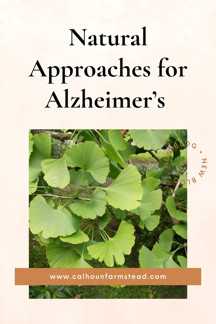 Natural Approaches for Alzheimer's Disease: Herbs and Mushrooms