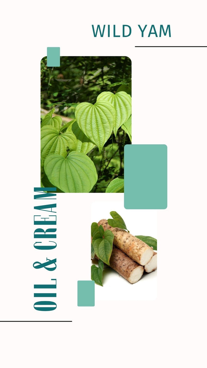 Wild Yam Cream vs Wild Yam Capsules: Which Is Right for You? – Calhoun Farm
