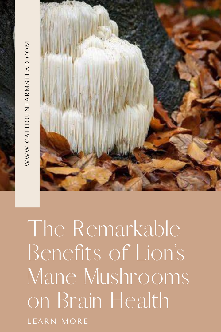 The Remarkable Benefits of Lion's Mane Mushrooms on Brain Health