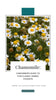 Chamomile Tea: A Beginner's Guide to This Classic Herbal Favorite