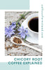 Chicory Root Coffee Explained: The Coffee Alternative That's Been Around for Centuries