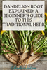 Dandelion Root Explained: A Beginner's Guide to This Traditional Herb