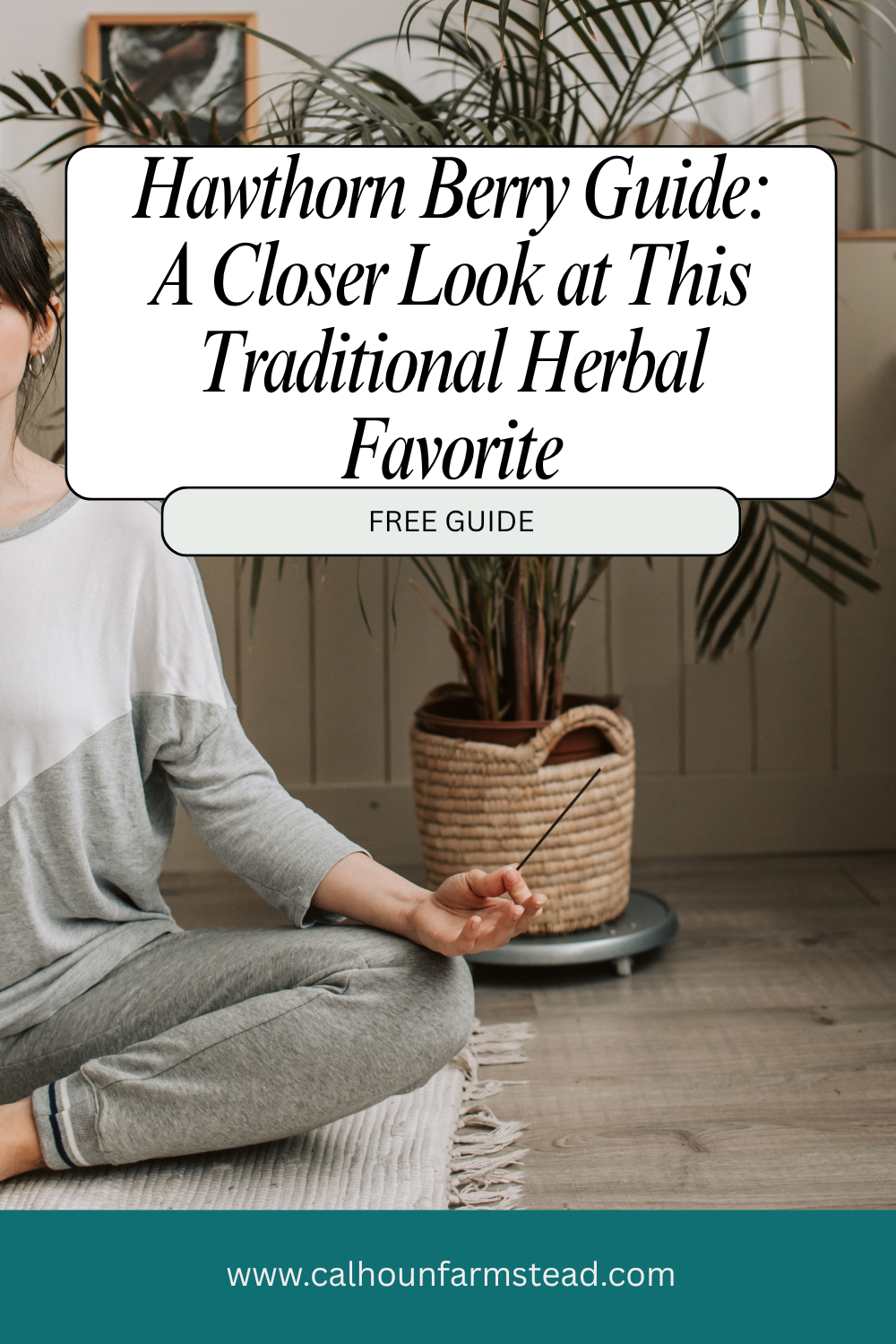 Hawthorn Berry Guide: A Closer Look at This Traditional Herbal Favorit ...