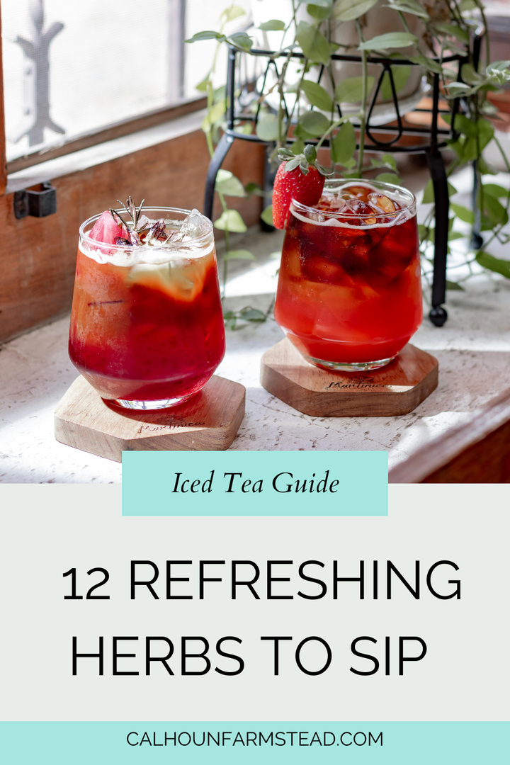 Best Herbs for Iced Tea: 12 Refreshing Herbs to Sip All Summer Long ...