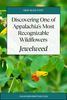 Jewelweed Guide: Discovering One of Appalachia's Most Recognizable Wildflowers
