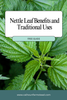 Nettle Leaf Benefits and Traditional Uses
