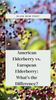 American Elderberry vs. European Elderberry: What's the Difference?