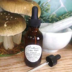 Lion’s Mane Mushroom Extract | Daily Focus & Cognitive Wellness Support