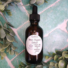 Bottle of Birch Polypore Extract with a dropper on a green leafy background