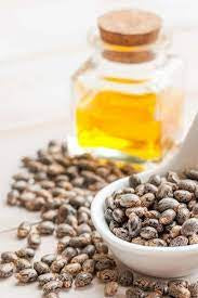 Castor oil in bottle with dish of castor beans in foreground.  