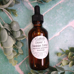 Brown glass bottle with dropper labeled 'Cleaver Dandelion Extract' on a green leafy background