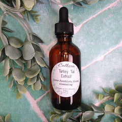 Brown glass bottle with dropper labeled 'Turkey Tail Extract' on a decorative background with green leaves.