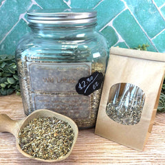 Clear glass jar with metal lid labeled 'Wild Lettuce' on a wooden surface with a green tiled wall background. Herbs for pain relief. Teas for pain.