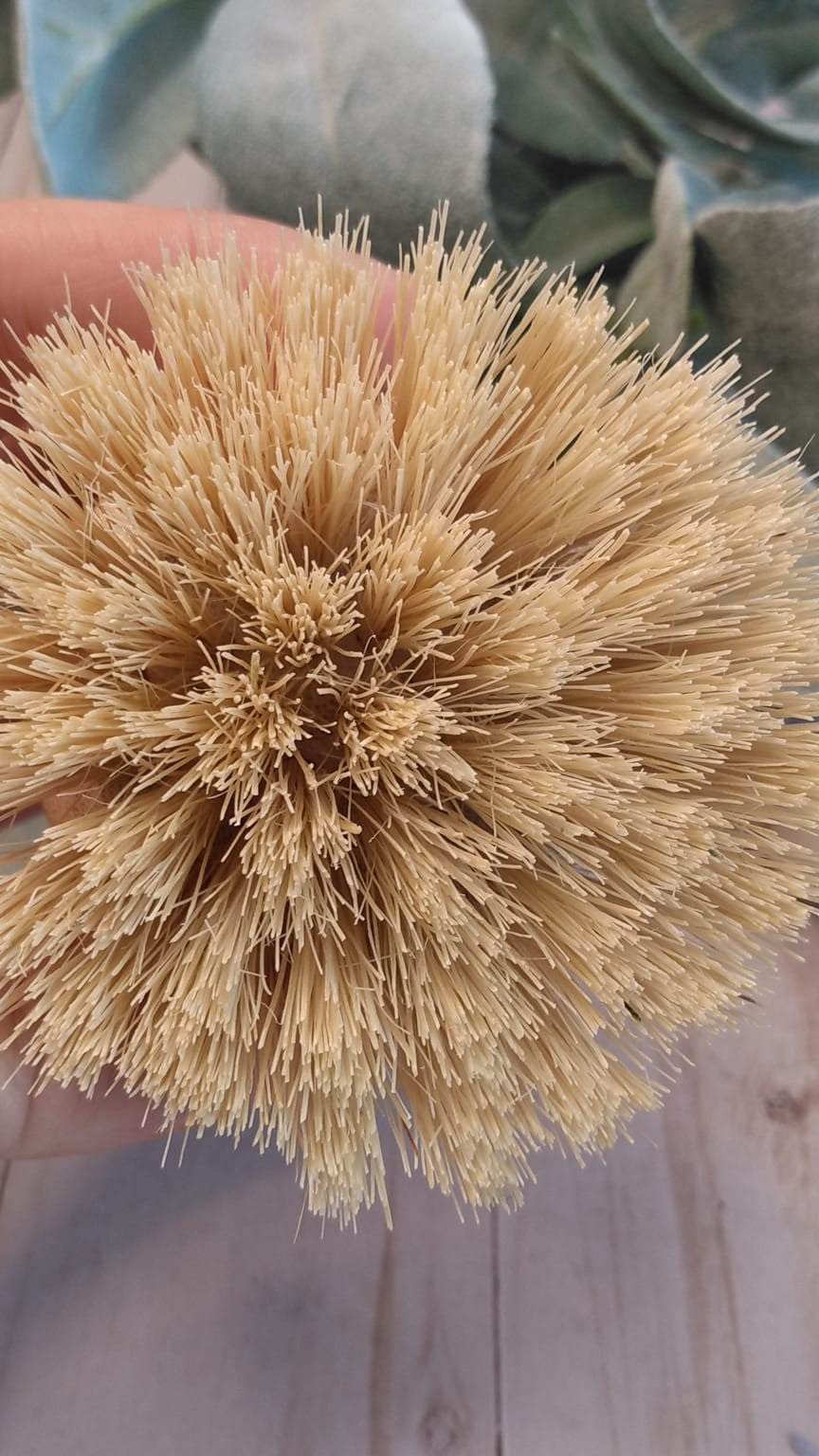 Dish Brush - Natural - Palm Brush