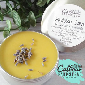 dandelion salve salve tin. dandelion is great for healing dry cracked skin. Perfect for heals and pedicures. Made with fresh dandelion flowers.