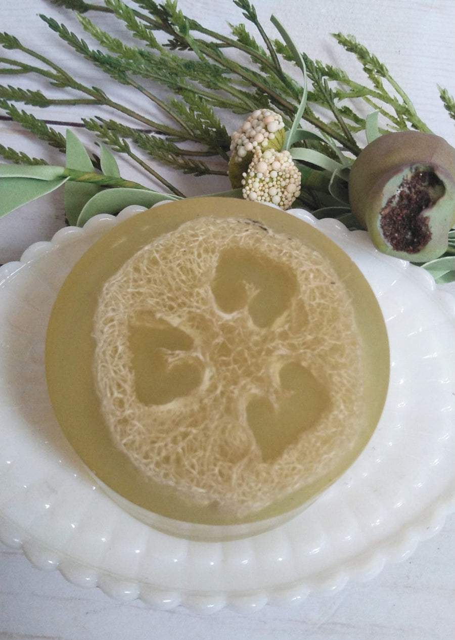 exfoilating soap made with hemp. leave skin feeling fresh and removes dry flakey skin.