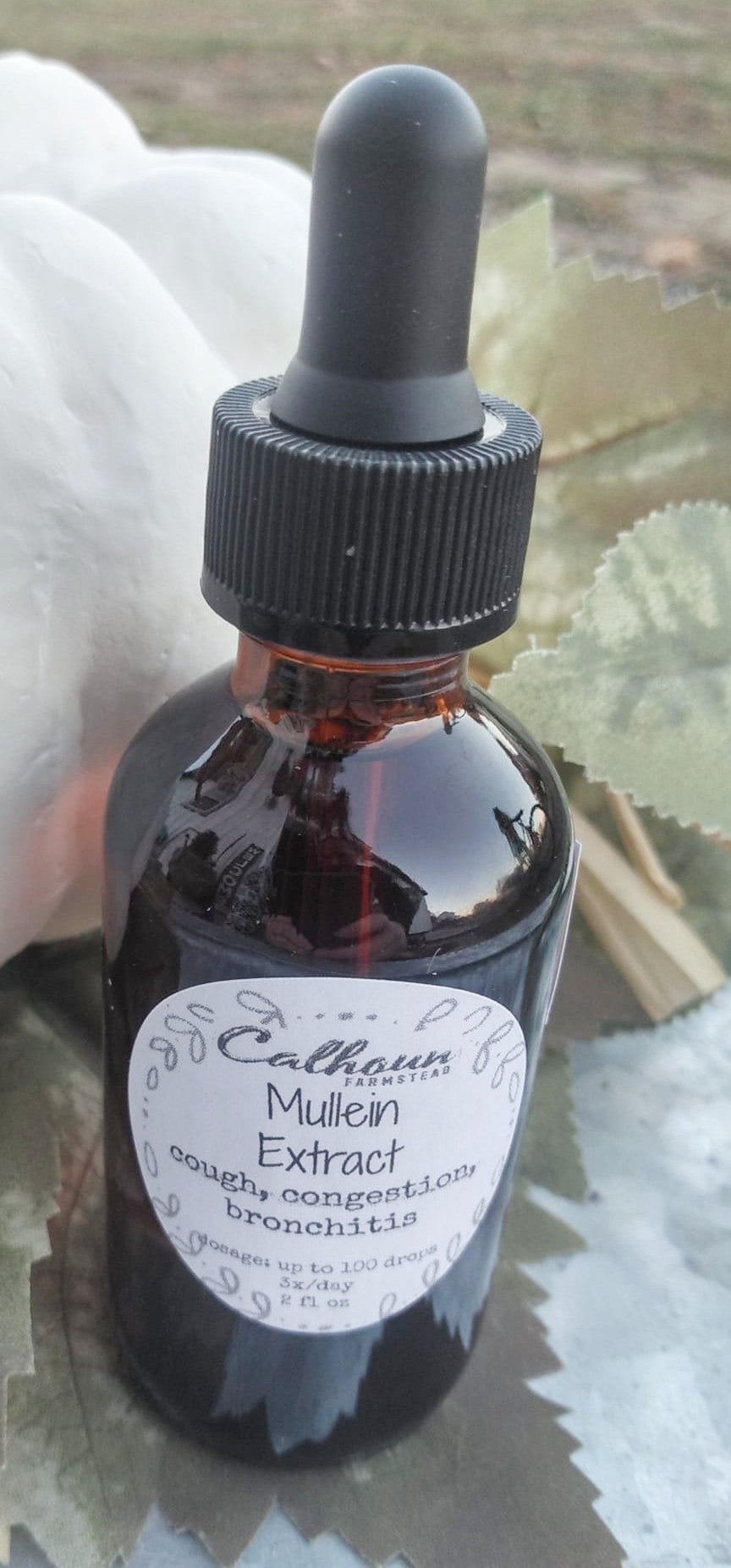 Mullien Extract - Tincture